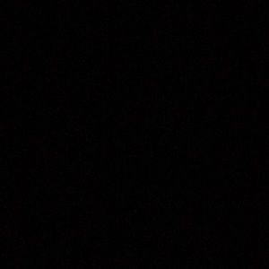 Meet your Posher, Sammy